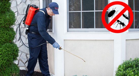 Üsküdar Uçan Haşere İlaçlama böcek ilaçlama ve haşere kontrolü — ilaclama-tr.com
